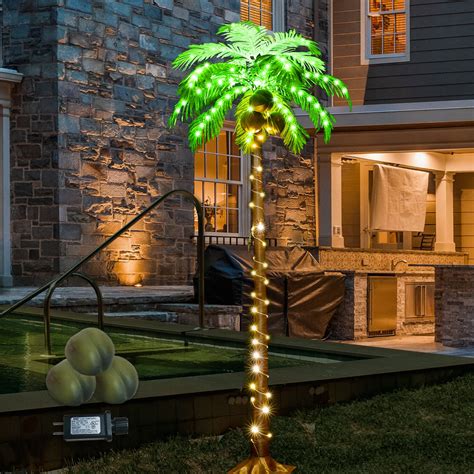 lighted palm trees outdoor